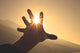 Trying to grab the sun Wall Decal
