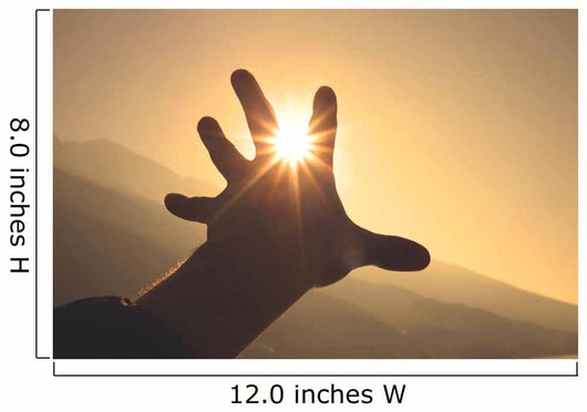 Trying to grab the sun Wall Decal