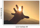 Trying to grab the sun Wall Decal
