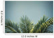 palm tree Wall Decal