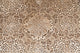 Polychromed lacework stucco Wall Decal