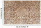 Polychromed lacework stucco Wall Decal