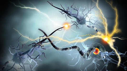 nerve cells, Neurologic Disease, tumors,brain surgery Wall Decal