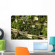 Herbes Aromatiques Wall Decal