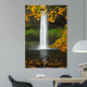 Silver Falls Oregon Wall Decal