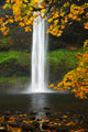 Silver Falls Oregon Wall Decal