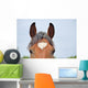 Pferdestirn mit wei&szlig;em Herz Wall Decal