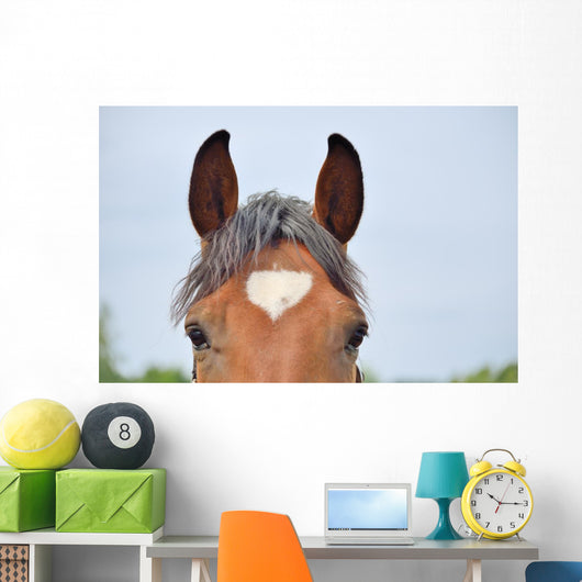 Pferdestirn mit wei&szlig;em Herz Wall Decal