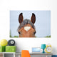 Pferdestirn mit wei&szlig;em Herz Wall Decal