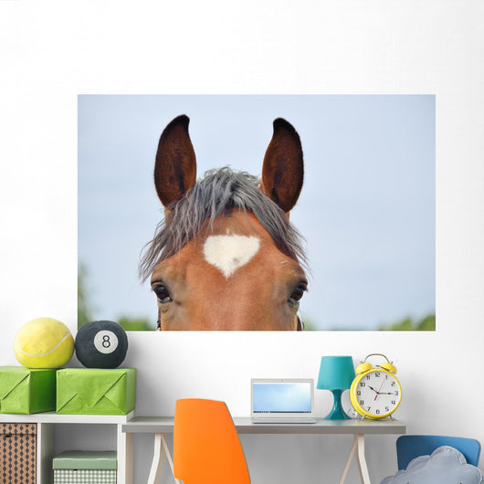 Pferdestirn mit wei&szlig;em Herz Wall Decal