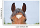 Pferdestirn mit wei&szlig;em Herz Wall Decal