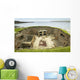 Scottish prehistoric site in Orkney. Skara Brae. Scotland Wall Decal