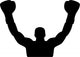 Boxer Winning Champion Wall Decal