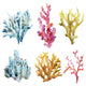 Corals with shells and crabs Wall Decal