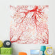 Corals with shells and crabs Wall Decal
