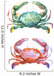 Corals with shells and crabs Wall Decal