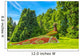 Blumenpfau, Insel Mainau Wall Decal