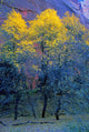 Three Thin Autumnal Trees In Front Of Rock Cliff Wall Mural