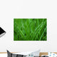 Grass Wall Decal