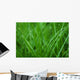 Grass Wall Decal