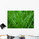 Grass Wall Decal