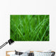 Grass Wall Decal