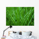 Grass Wall Decal
