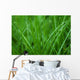 Grass Wall Decal