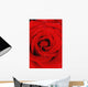 Red Rose With Water Drops Wall Mural