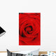 Red Rose With Water Drops Wall Mural