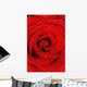 Red Rose With Water Drops Wall Mural