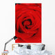 Red Rose With Water Drops Wall Mural