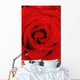 Red Rose With Water Drops Wall Mural