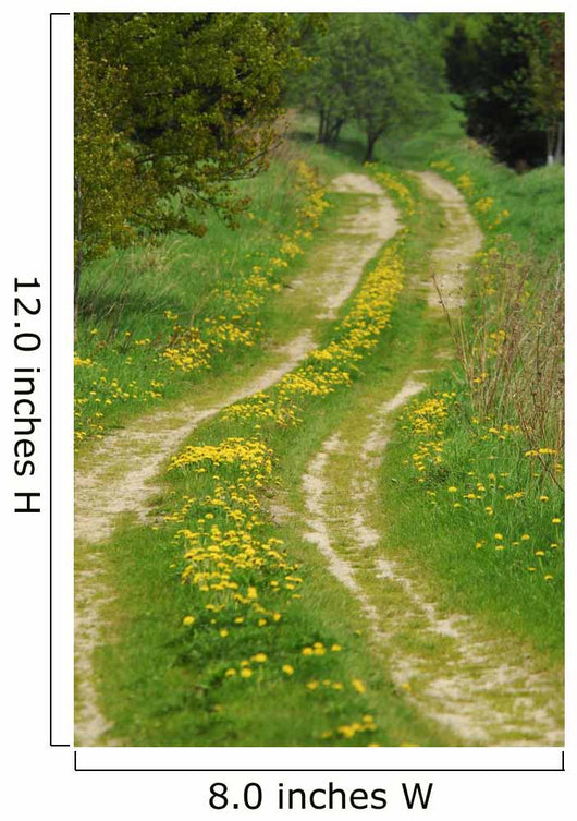 Meadow Wall Decal