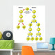 Meiosis vs Mitosis Wall Decal