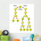 Meiosis vs Mitosis Wall Decal