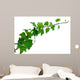 Ivy Wall Decal