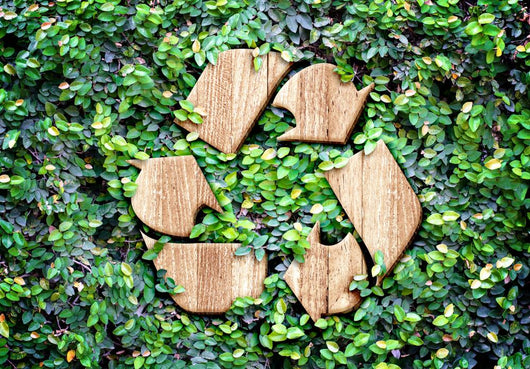 Eco concept :Wood texture Recycle icon on green leaves wall Wall Decal
