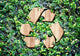 Eco concept :Wood texture Recycle icon on green leaves wall Wall Decal