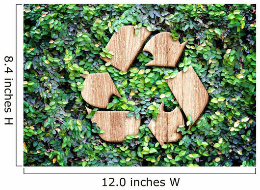 Eco concept :Wood texture Recycle icon on green leaves wall Wall Decal