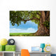 pring meadow with big tree with fresh green leaves Wall Decal