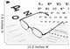 Seeing Things Focus Wall Decal