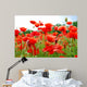 Poppies Wall Decal