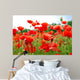 Poppies Wall Decal