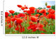 Poppies Wall Decal