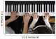 Piano Lesson Wall Decal