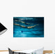 Swimmers at the swimming pool.Underwater photo. Wall Decal