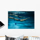 Swimmers at the swimming pool.Underwater photo. Wall Decal