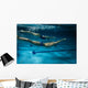 Swimmers at the swimming pool.Underwater photo. Wall Decal