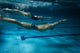 Swimmers at the swimming pool.Underwater photo. Wall Decal
